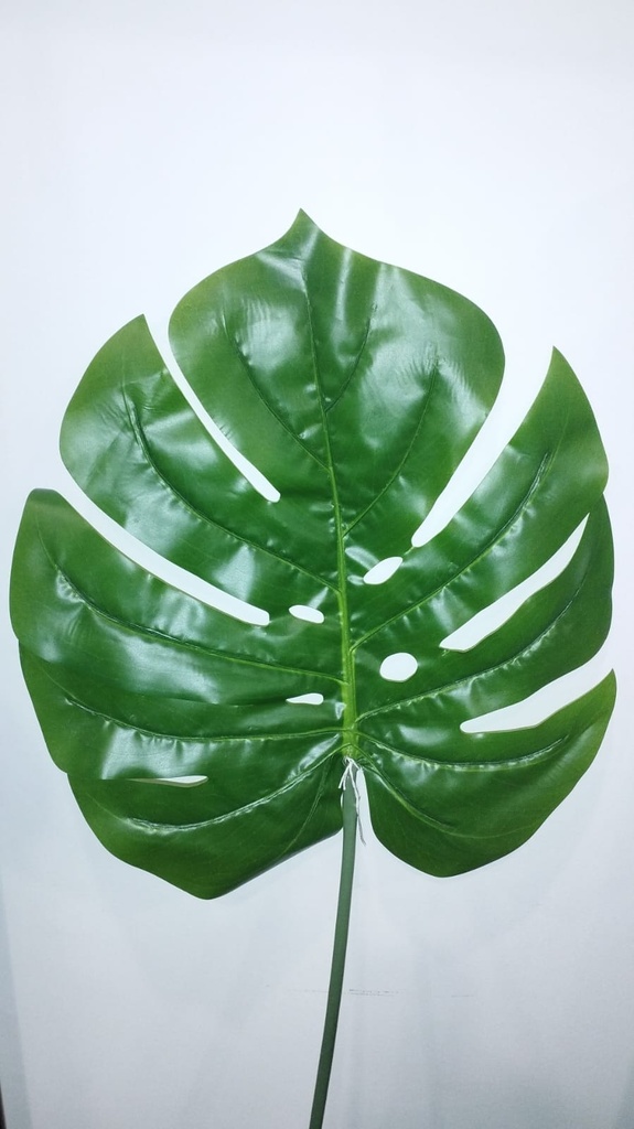 HOJA PHILO L.97 24CM